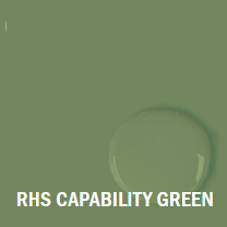 36. Capability Green Chalk Paint.webp