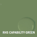 36. Capability Green Chalk Paint.webp