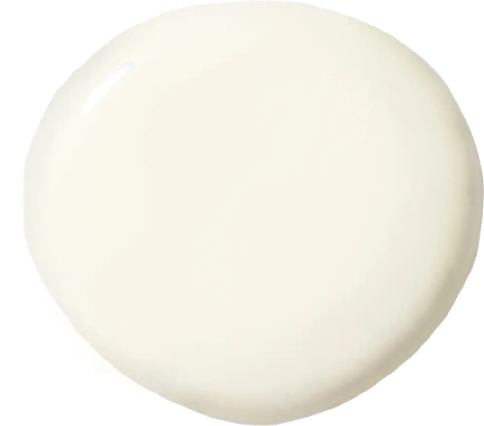 Pure wall paint (120 ml)