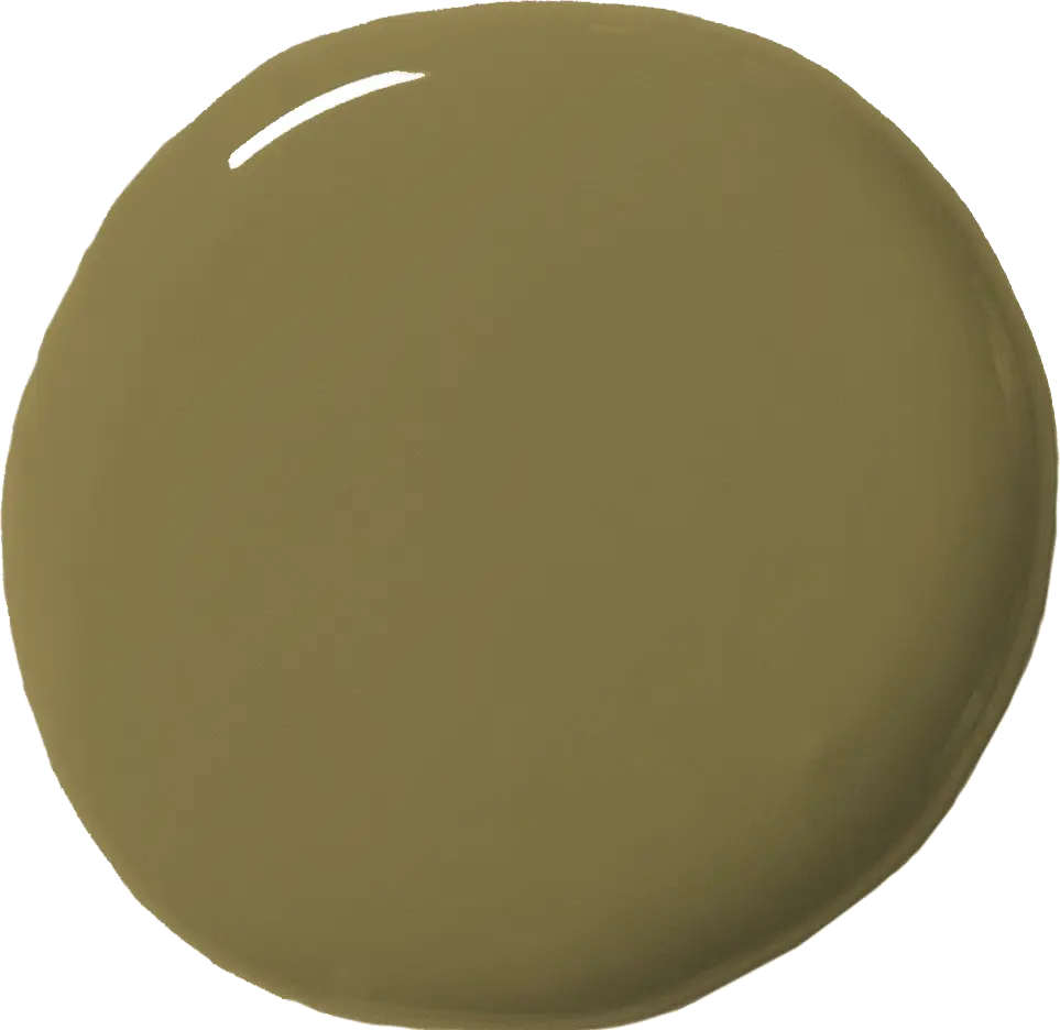 Olive wall paint (120 ml)