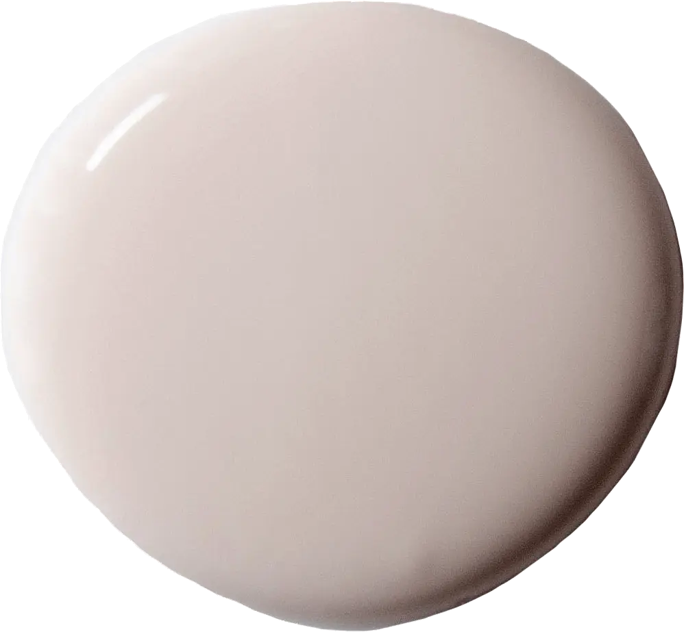 Pintura paret Pointe Silk