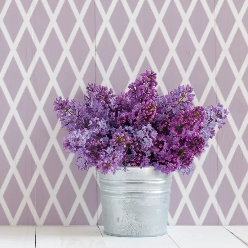 [0007541P] Stencil template Home Decor Geometric 029 (50x50)