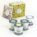 Annie Sloan with Charleston, Decorative paint set: Firle