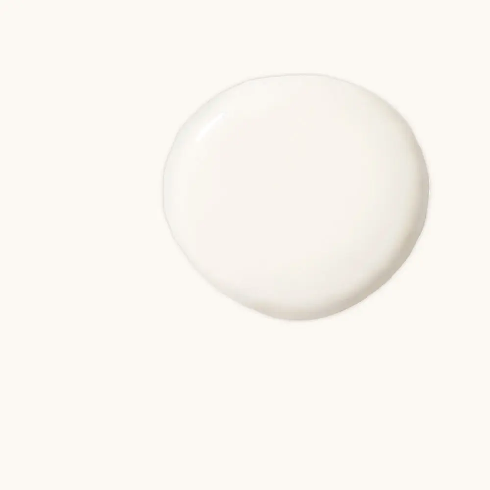 Pintura Setinada Pure