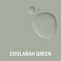 Pintura al guix - Annie Sloan's Chalk Paint Coolabah Green