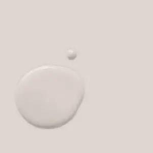 Pintura al guix - Annie Sloan's Chalk Paint Rococo White