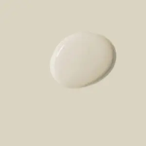 Pintura al guix - Annie Sloan's Chalk Paint Canvas
